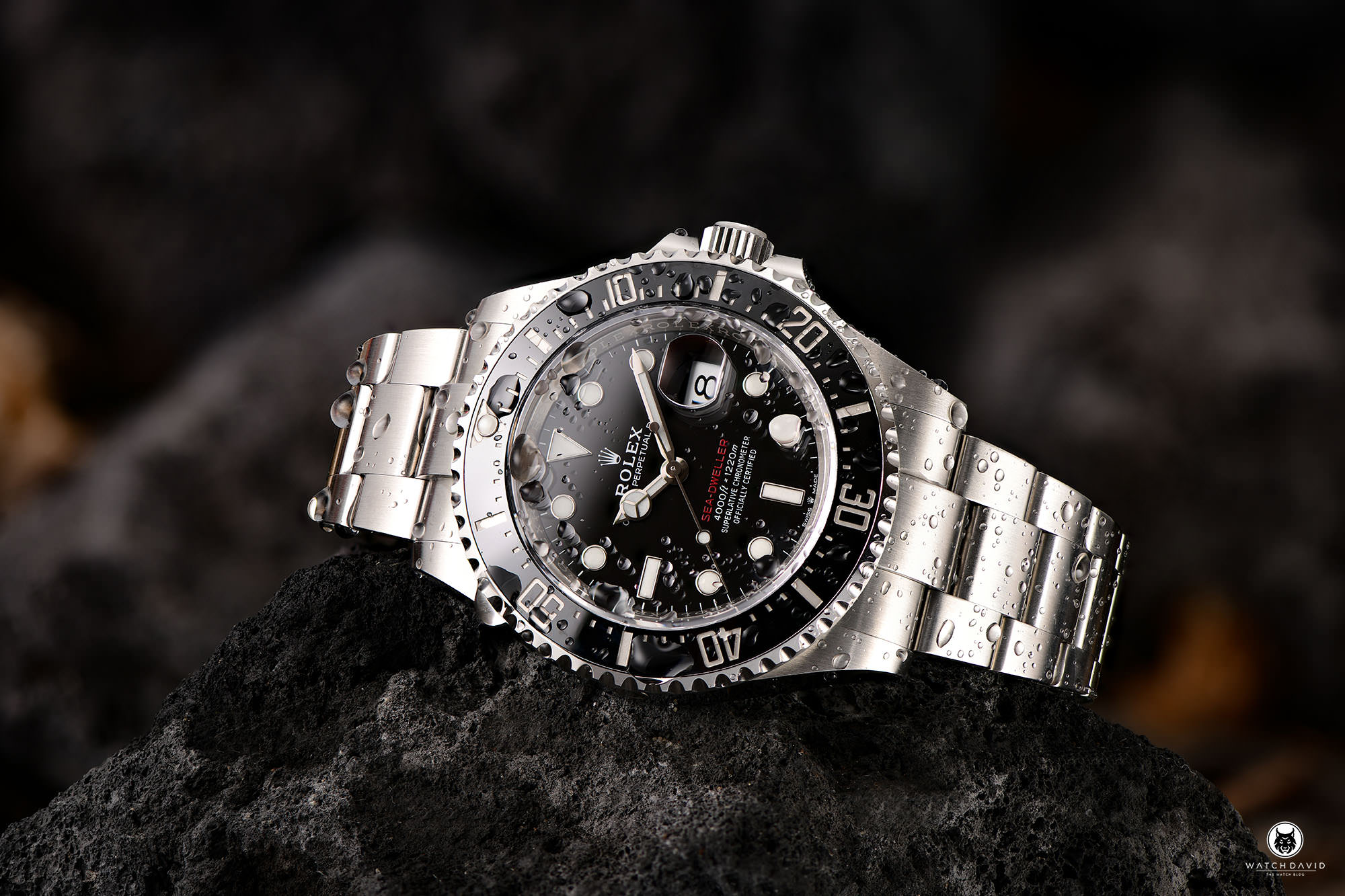 Rolex 4000 Single Red Review – WATCHDAVID®