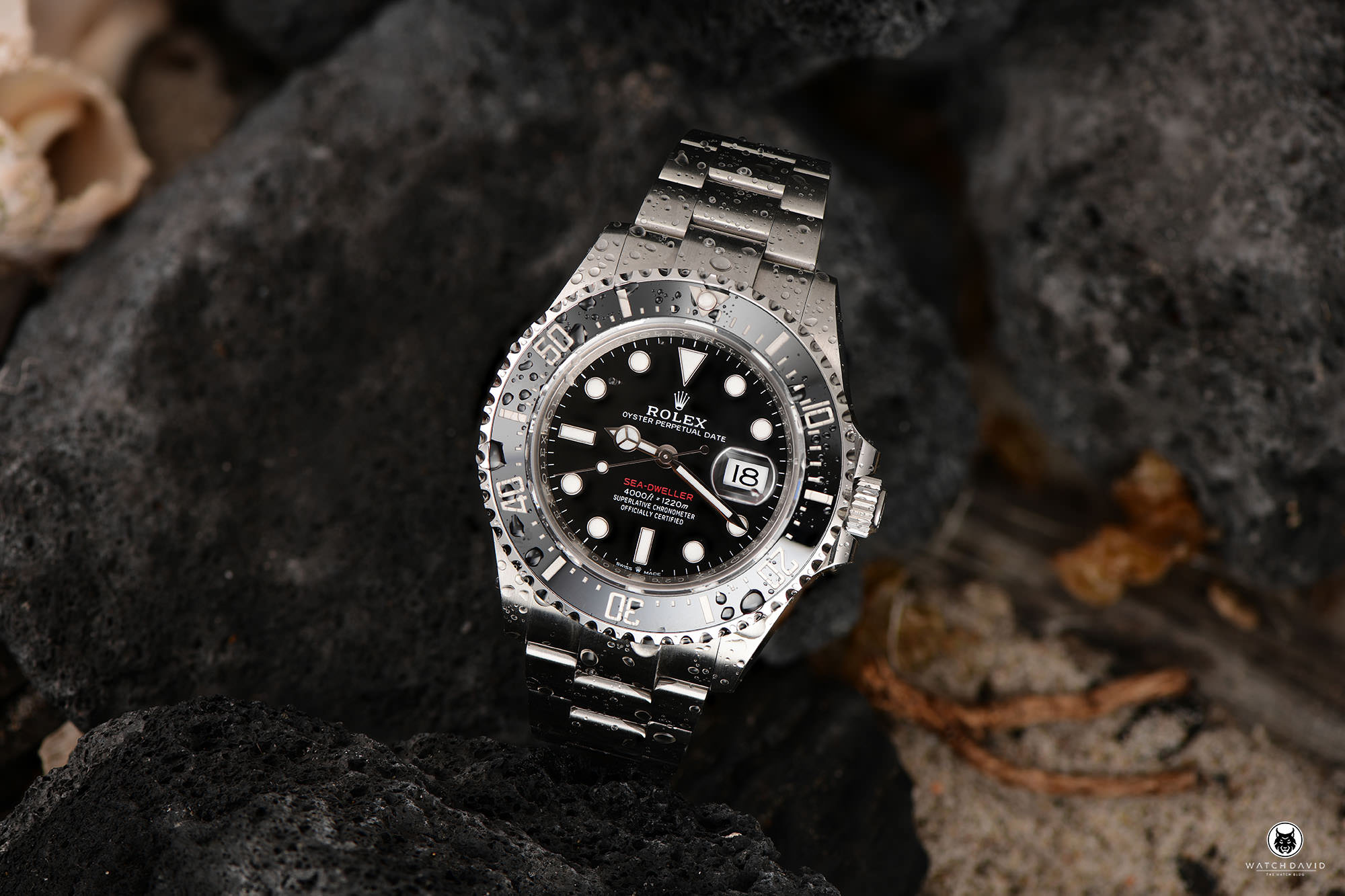 Rolex 4000 Single Red Review – WATCHDAVID®